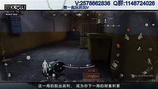 柯恩币专家