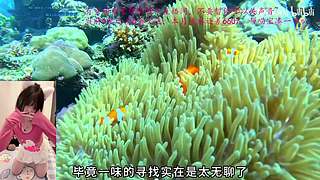 【白银双倍】左手五根手指烫伤了4根QAQ