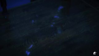 脑洞大开的悬疑短剧【不思异】