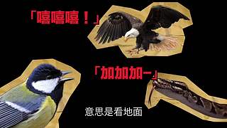 科学黑历史