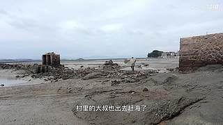 渔妹带你来赶海，来看有没有你没见过的