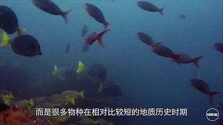带你领略宇宙星海—碎片记