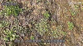 大庆在农村的直播间