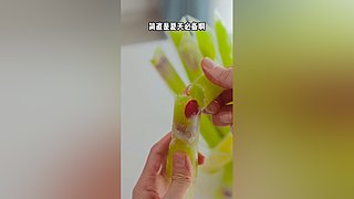 Mrs腊月小九