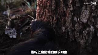 王生怪谈奇闻怪事
