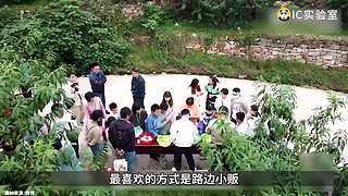 硬核时事评论家