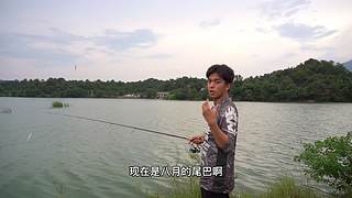 【钓鱼】最专业的路亚钓法