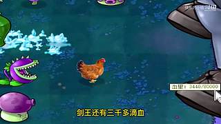 宝子们，开席了！