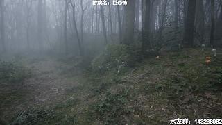 【小k】午夜恐怖游戏直播间~