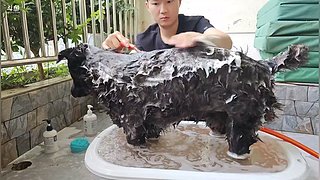 彩排2天，31号公司周年晚会~