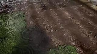 失眠症福音~~~~~~~~~~~