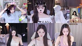 【小奶团】总有人间一两风，填我十万八千梦