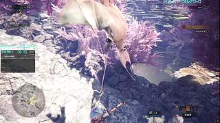 星期六六区决