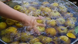 滇西小哥的美食视频