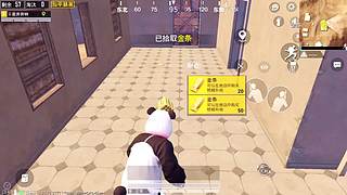 小奔奔解说的直播间