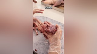 Mrs腊月小九