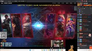 【小白鸽】白王来啦！