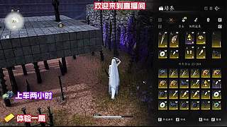 体验燕云十六声的民俗休闲玩法