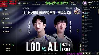 海克斯大乱斗 全区可飞 听老板安排 ❤