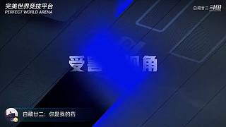 为了开心打游戏
