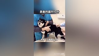 星球大战前线2玩玩看。