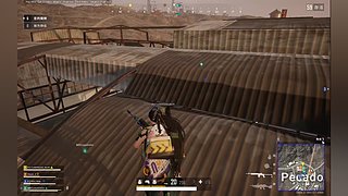 PUBG萌新选手