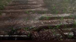 失眠症福音~~~~~~~~~~~