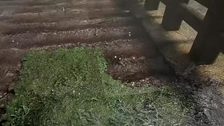 失眠症福音~~~~~~~~~~~