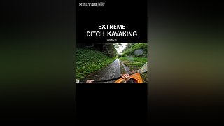 阿尔法小分队的最新视频