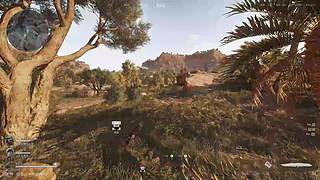 撞车gogogo 6440218