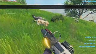 PS4绝地求生