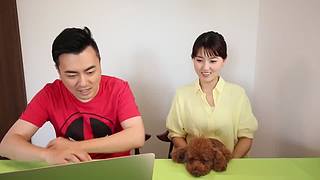 伴你入梦的娱乐科普