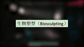 赛博朋克杂谈