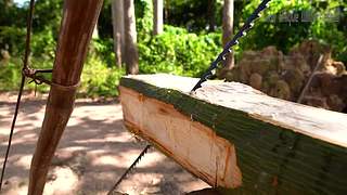 疯狂原始人带你荒野求生