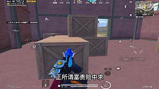 月殿玉兔直播间