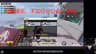 释怀鸟去寻找蓝桉树去了
