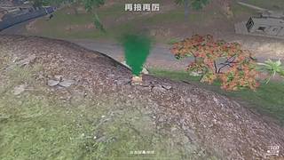 痴情的直播间 12646945