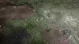失眠症福音~~~~~~~~~~~