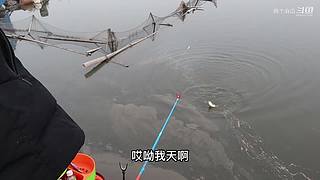两个大麻瓜的沙雕钓鱼日常