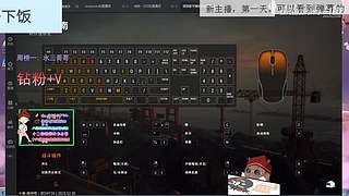 新人，第一天！