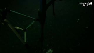 拳皇97 比赛视频精彩放送！