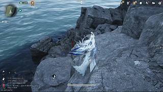 新的开始新的人生 11643816