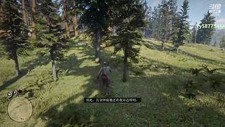 【APEX】虾丸