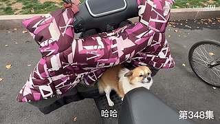大齐赶海，又是出大货的一天