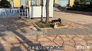 大齐赶海，又是出大货的一天