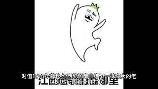 在线666