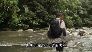 【贝爷】统治食物链顶端的男人~回来啦~！