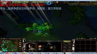 丛林肉搏 天赋版   直播团