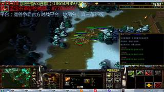 丛林肉搏 天赋版   直播团