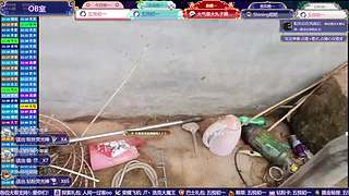 老丁聊天室~11168